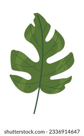 Monstera tropical leaf icon design isolated