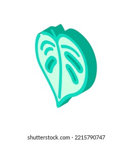 monstera tropical leaf isometric icon vector. monstera tropical leaf sign. isolated symbol illustration