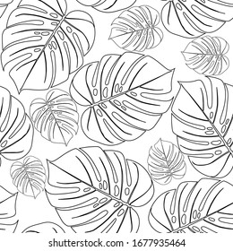 Monstera tropical leaf vector illustration. Summer print