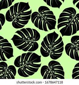 Monstera tropical leaf vector illustration. Summer print
