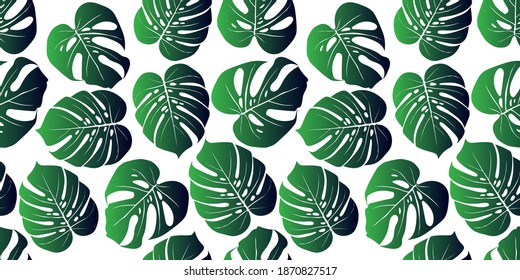 Ilustración vectorial de la hoja tropical de Monstera. Impresión veraniega. Patrón transparente