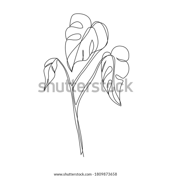 Monstera Tropical Leaves Artline Style Outline Stock Vector (Royalty ...