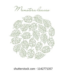 Monstera tropical leaves circle. For design, print and more