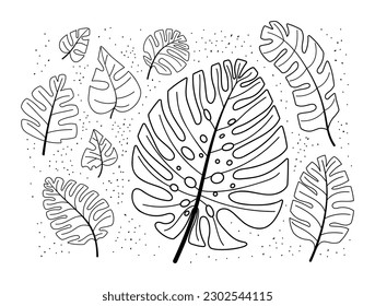 Monstera tropical leaves doodle set. Hand drawn exotic foliage. Monstera Deliciosa. Simple line design. Vector illustration isolated on white dotted background