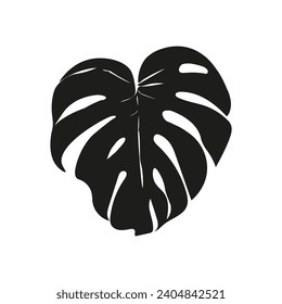 Monstera tropical leaves, greenery design element Monstera leaves, jungle plant. Silhouette of monstera leaf for logo or card ,scrapbook design. Vector illustration, isolate on white background