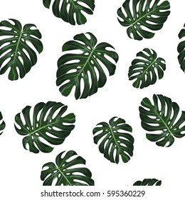 Monstera Tropical leaves seamless pattern on white background. Vector illustration