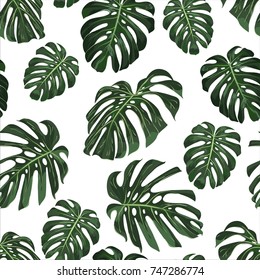 Monstera Tropical leaves seamless pattern on white background. Vector illustration