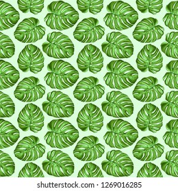 Monstera Tropical Leaves Seamless Textile Patten Vector Design