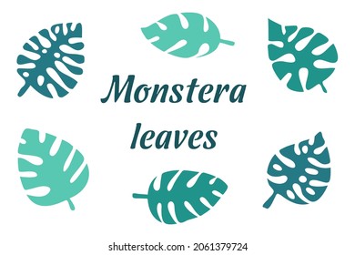 Monstera tropical leaves set, green turquoise color vector illustration