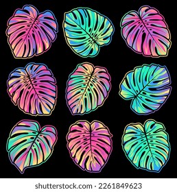 Monstera tropical leaves set. Multi-colored monstera leaves on a black background.