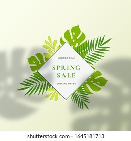 Monstera Tropical Leaves Summer Sign or Logo Template. Abstract Green Foliage with Rhombus Border and Classy Typography. Natural Lighting Palm Leaves Shadow Overlay on Top. Green Background.