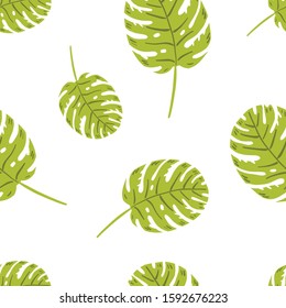 Monstera tropical leaves. Vector seamless pattern. Original design print for tshirts, textiles, web. White background.