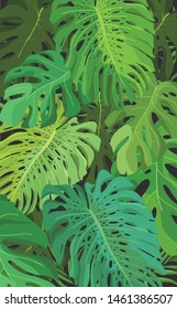 Monstera tropical petals pattern background colorful 