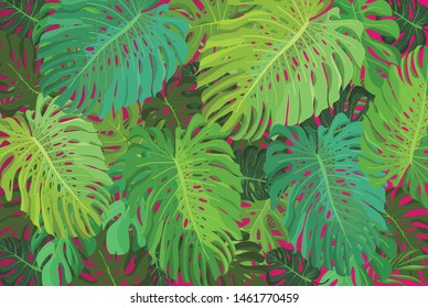 Monstera tropical petals pattern bright background colorful 