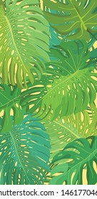 Monstera tropical petals pattern bright background colorful 