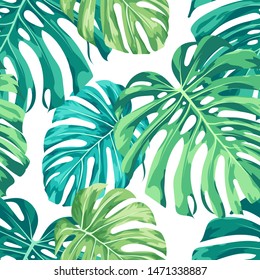 Monstera tropical plant / houseplant design featuring large green leaves on a white background. Seamless vector repeating pattern.