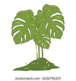 monstera tropical plant with vintage vector format on separate white background