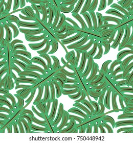 Monstera tropical vector seamless pattern