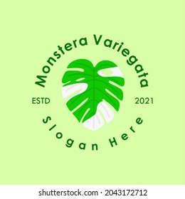 monstera variegata logo. suitable for plant shop business logo.