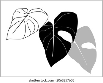 Monstera Vector Image Exotic Plant Black White Graphics