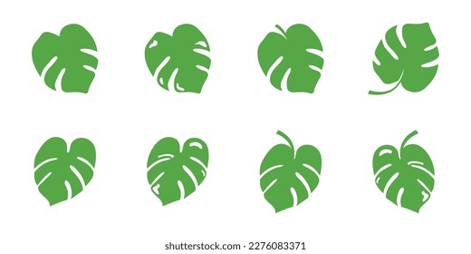 monstera vector leaf icon, tropical leaf on white background