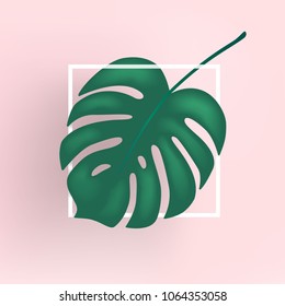 Monstera vector leaf, template tropical leaves, pink trendy background, text space, frame, decoration plant. Design poster, banner, web site, isolated illustration.