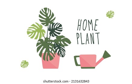 Monstera and watering can on isolated background. Vector illustration of a house plant. Flat style set. Watering the plant