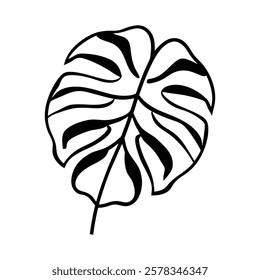 monstera-leave of a line art vector.
