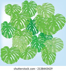 monsterra background vector illustration pattern