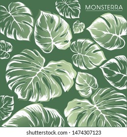 Monsterra leaves pattern on green bacground. vector illustration