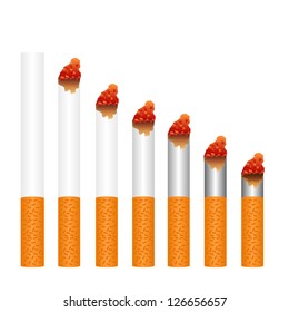 montage of cigarettes during different stages of burn. Each is isolated on white.eps10