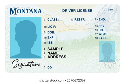 Montana driver's license isolated on white background. Person driver license.