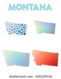 Montana geometric polygonal, mosaic style US state maps collection. Modern design for your infographics or presentation.