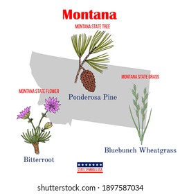 Montana. Set of USA official state symbols. Vector hand drawn illustration