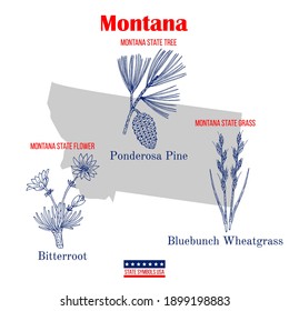 Montana. Set of USA official state symbols. Vector hand drawn illustration