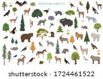 Montane forest biome, natural region infographic. Terrestrial ecosystem world map. Animals, birds and vegetations ecosystem design set. Vector illustration