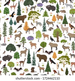 Montane forest biome, natural region seamless pattern. Terrestrial ecosystem world map. Animals, birds and vegetations ecosystem design set. Vector illustration