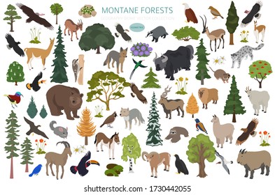 Montane forest biome, natural region infographic. Isometric version. Terrestrial ecosystem world map. Animals, birds and vegetations ecosystem design set. Vector illustration