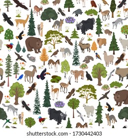 Montane forest biome, natural region seamless pattern. Terrestrial ecosystem world map. Animals, birds and vegetations ecosystem design set. Vector illustration