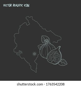 Elemento de línea de icono de Montenegro. Ilustración vectorial de la línea de iconos montenegro aislada en fondo limpio para el diseño del logo de tu aplicación móvil web.