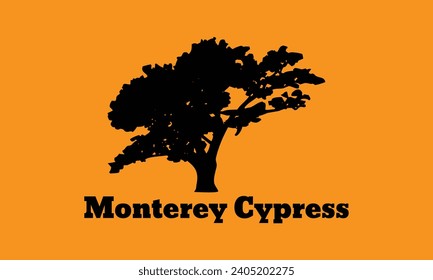 Monterey Cypress tree silhouette vector art, graphics