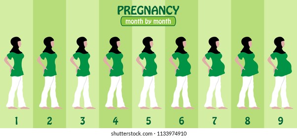 Month by month pregnancy stages of pregnant muslim woman with hijab. All the objects and body stages are in different layers and the text types do not need any font. 