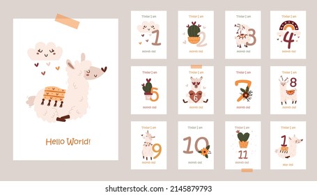 Monthly baby cards with cute llamas. Printable cards templates.