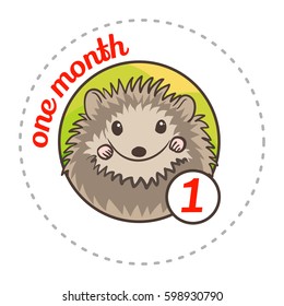 Monthly baby sticker. Cute cartoon animal illustration for little boy or girl. First year, one month. Hedgehog with spiny coat