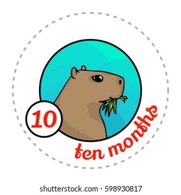 Monthly baby sticker. Cute cartoon animal illustration for little boy or girl. First year, ten months. Capybara chewing grass