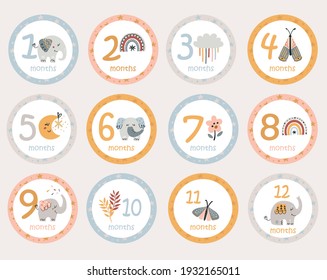 Monthly baby stickers with bohemian elephants and items