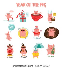 Monthly creative calendar 2019 with cute pig. Symbol of the year in the Chinese calendar. Cartoon. Isolated. Vector illustration.