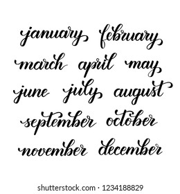 months of the year modern brush calligraphy isotated on a white background. Vector illustration.