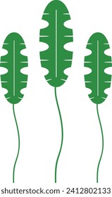 Montsera leaf logo icon vector element