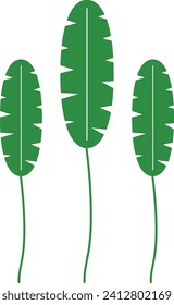 Montsera leaf logo icon vector element